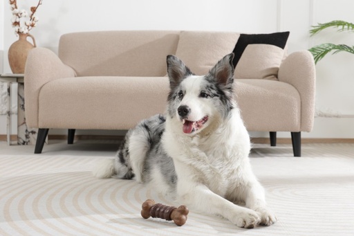 M-pets Chewood Dog Toy Small Bone With Rubber S