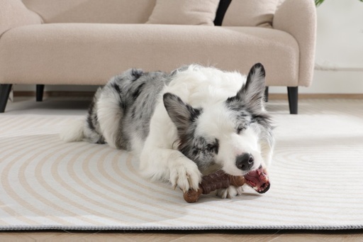 M-pets Chewood Dog Toy Small Bone With Rubber S