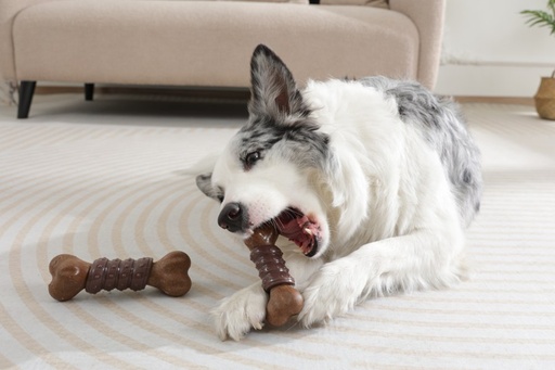 M-pets Chewood Dog Toy Small Bone With Rubber S