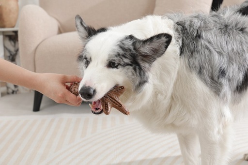 M-pets Chewood Dog Toy Small Branch S