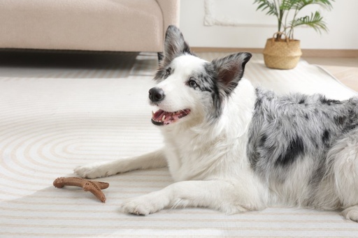 M-pets Chewood Dog Toy Small Branch S