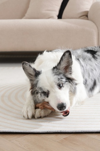 M-pets Chewood Dog Toy Small Branch S