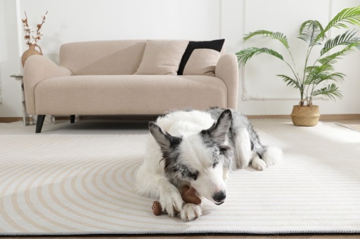 M-pets Chewood Dog Toy Small Branch S