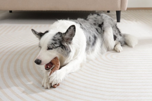 M-pets Chewood Dog Toy Twist