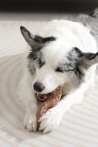 M-pets Chewood Dog Toy Twist