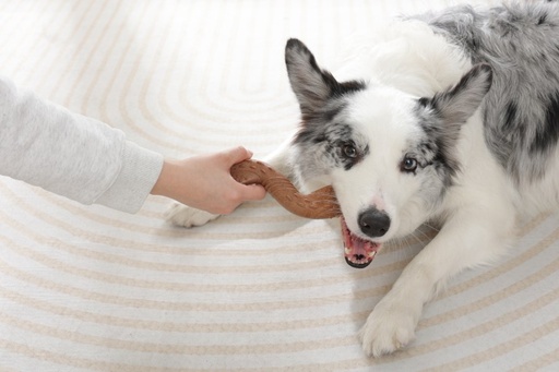 M-pets Chewood Dog Toy Twist