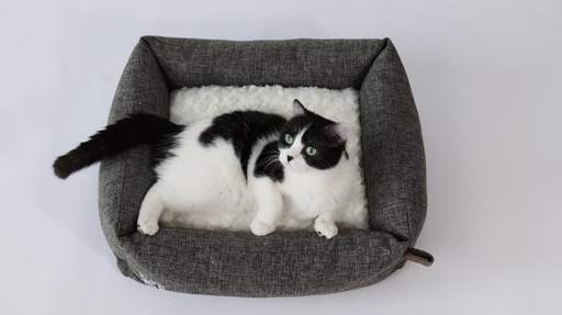 M-pets Oleron Basket - L - Gray