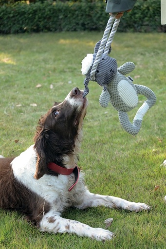M-pets Chewtopia Eco Dog Toy - Sheep