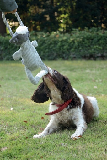 M-pets Chewtopia Eco Dog Toy - Sheep