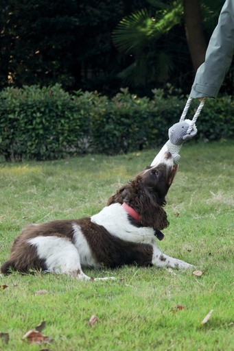 M-pets Chewtopia Eco Dog Toy - Sheep