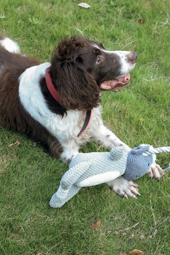 M-pets Chewtopia Eco Dog Toy - Sheep