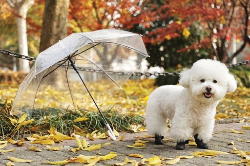 M-pets Rainy Day Dog Shoes L Black
