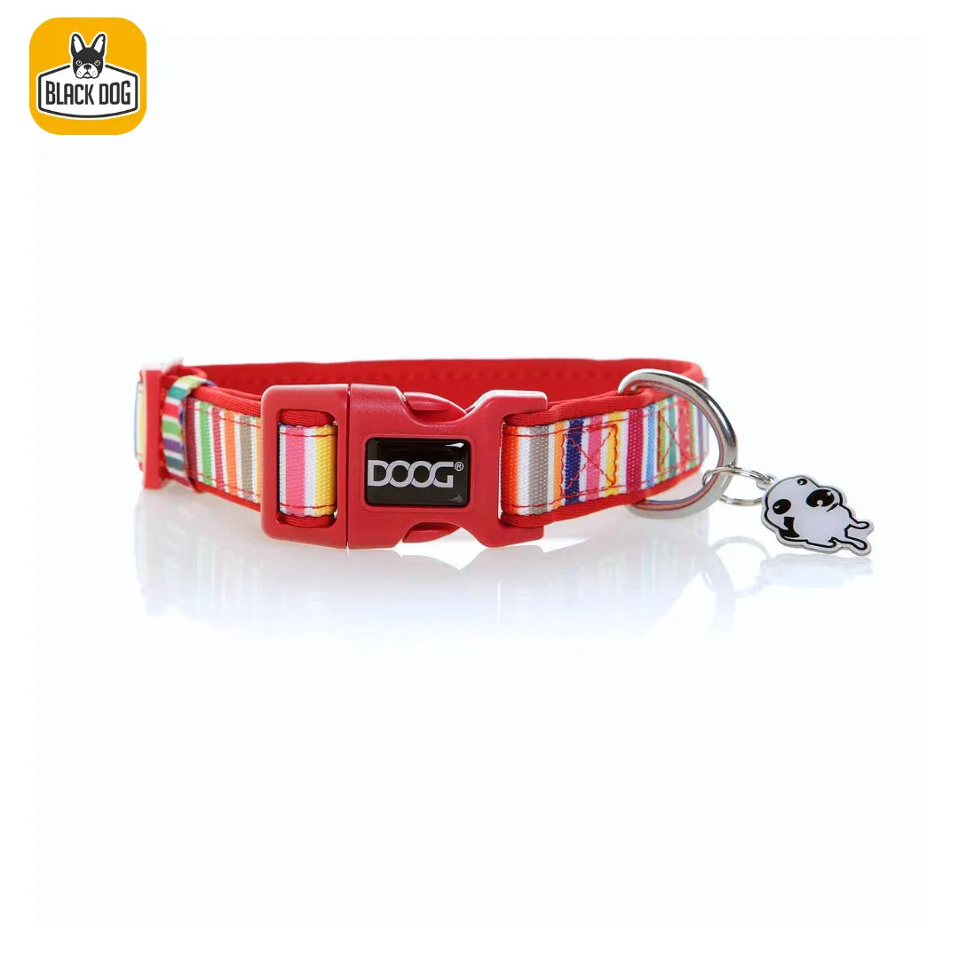 DOOG COLLAR MULTI COLOUR STRIPPED LARGE - Black Dog Panamá 