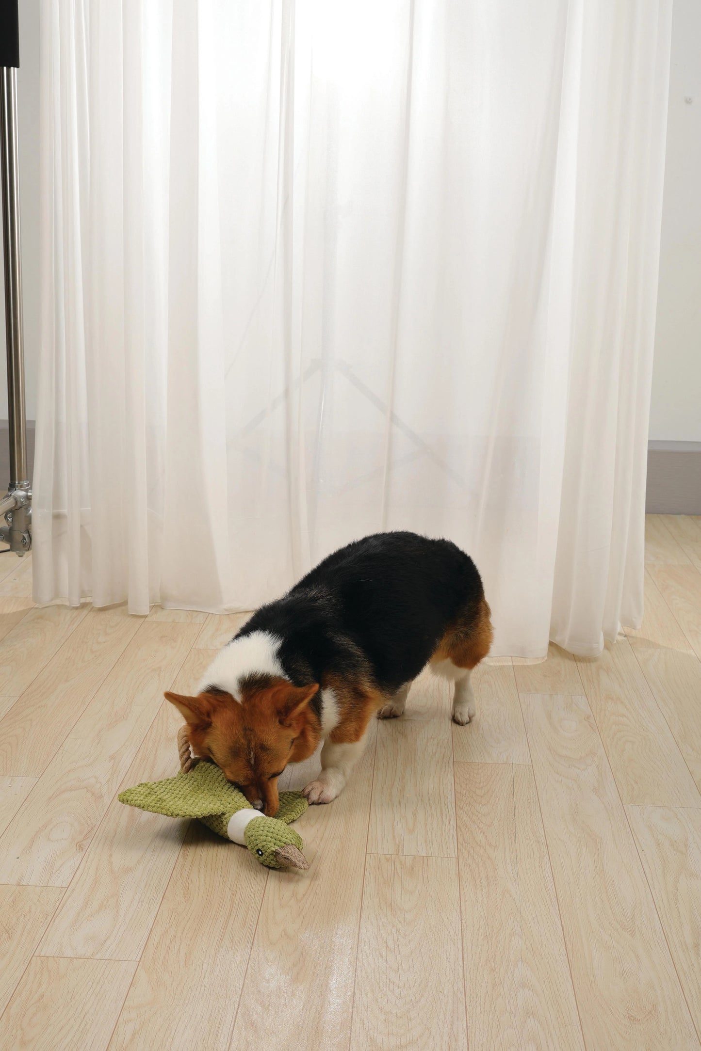 MPets Buck ECO Dog Toy – Unidad