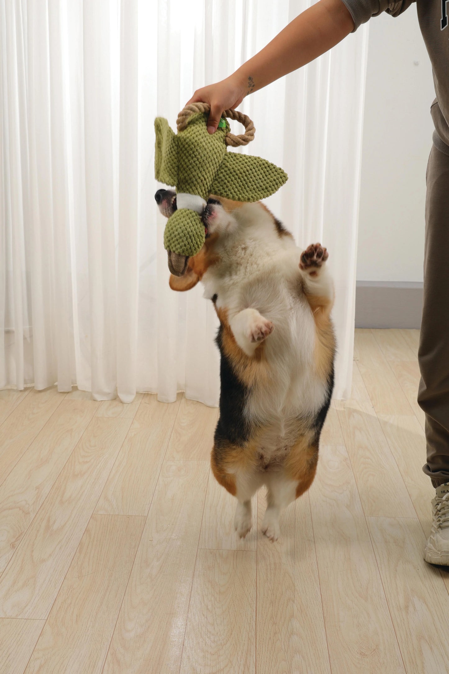 MPets Buck ECO Dog Toy – Unidad