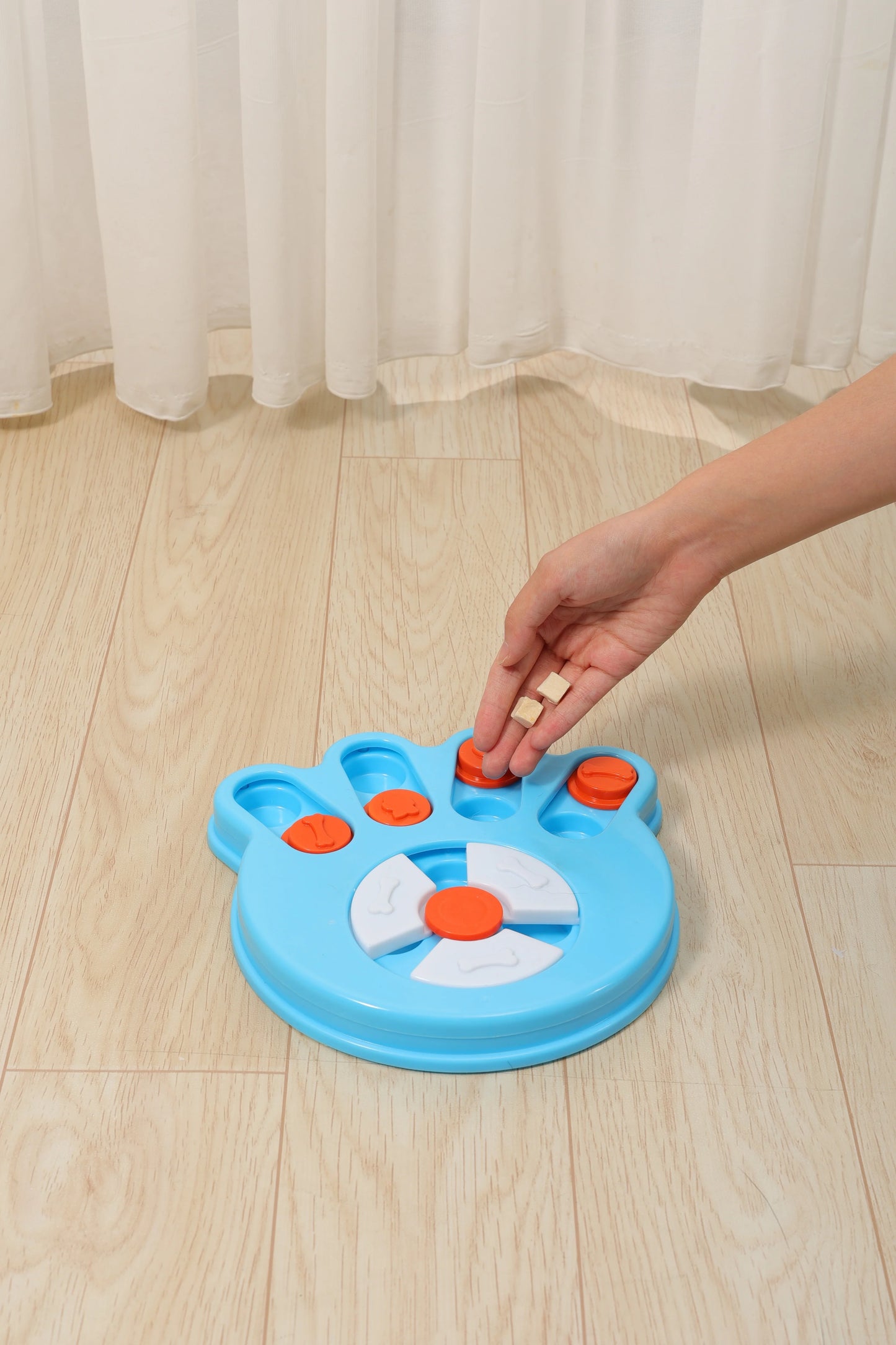 MPets Brainy Games Darwin – L1 Easy