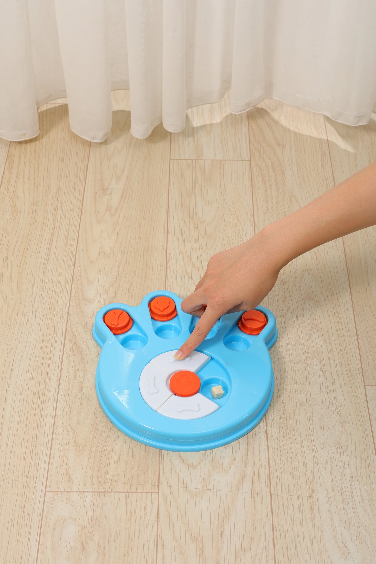 MPets Brainy Games Darwin – L1 Easy