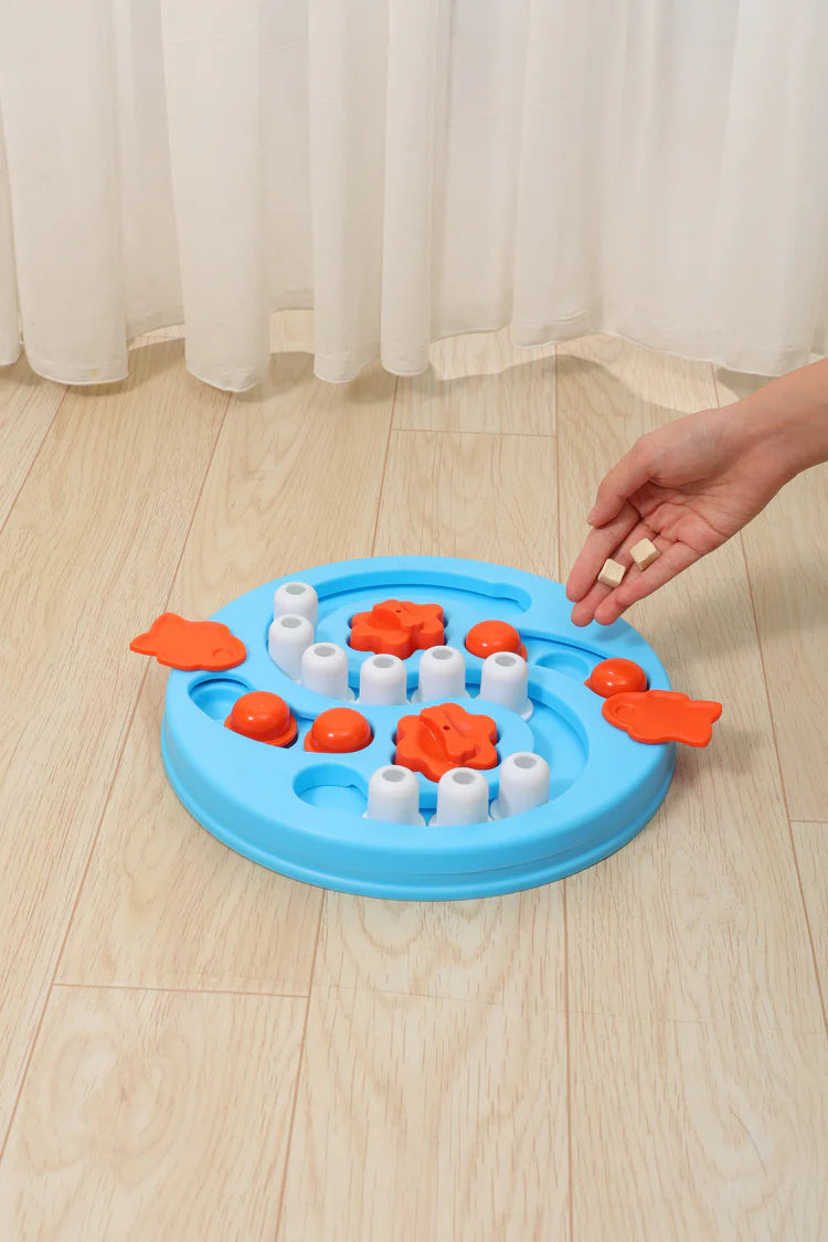 MPets Brainy Games Einstein – L3 Difficult