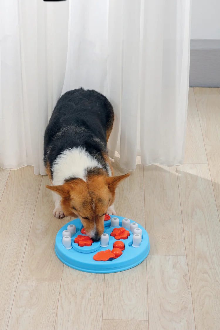 MPets Brainy Games Einstein – L3 Difficult