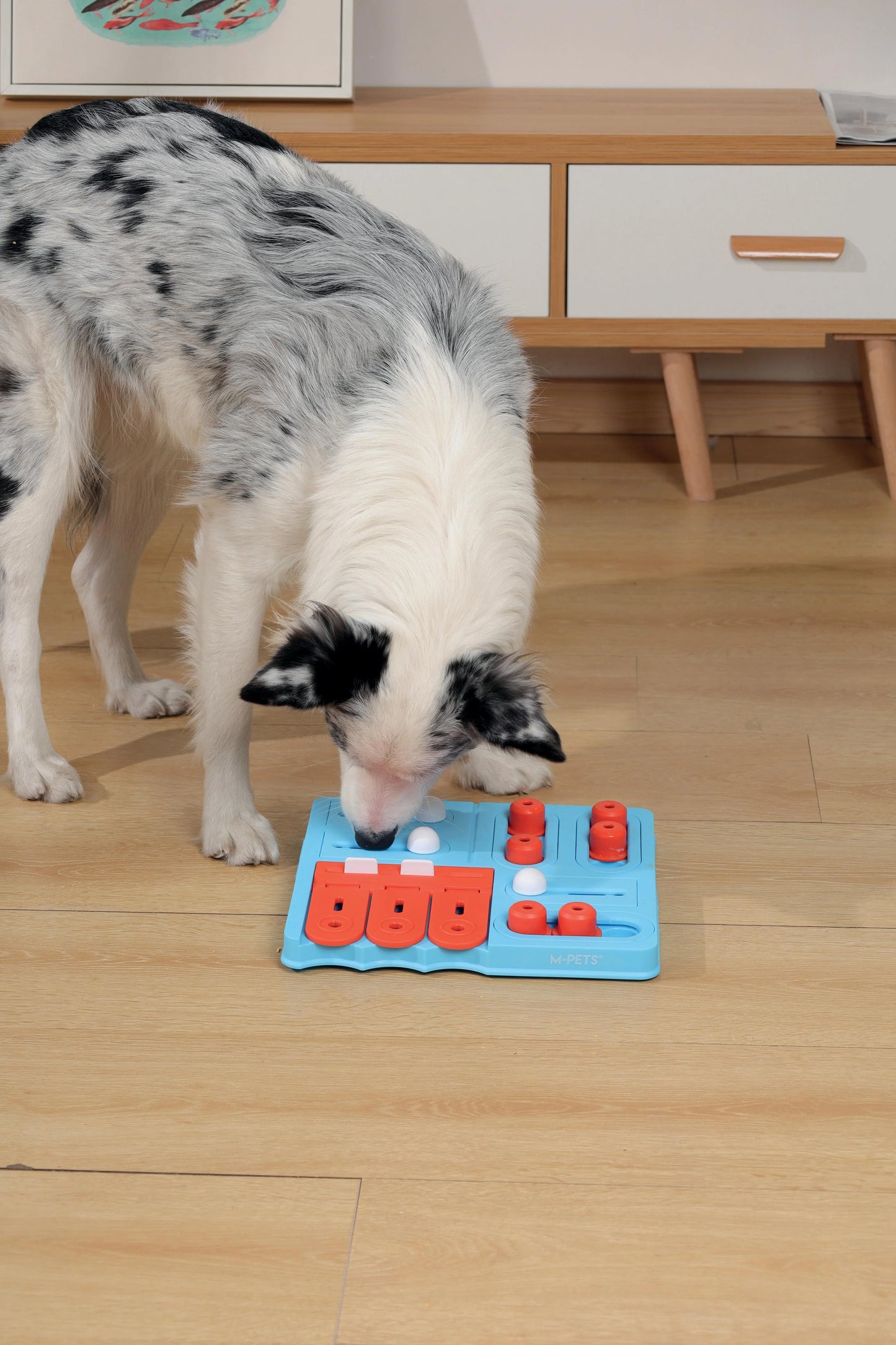 MPets Brainy Games Curie – L4 Expert