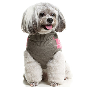 PAWCHI TSHIRT INVIERNO - Black Dog Panamá 