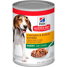 SD PUPPY CHKN/BARLEY LATA - Black Dog Panamá 