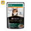 PP KITTEN OPTIGROWTH 24X85G - Black Dog Panamá 