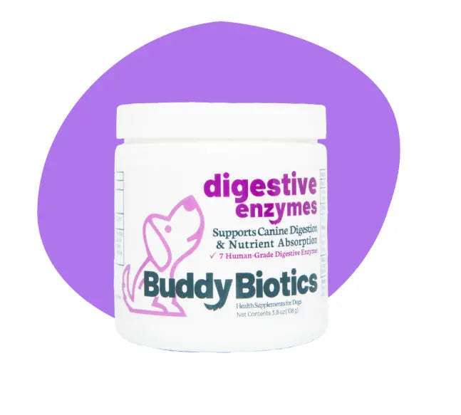 BUDDYBIOTICS / DIGESTIVE ENZYMES DOGS