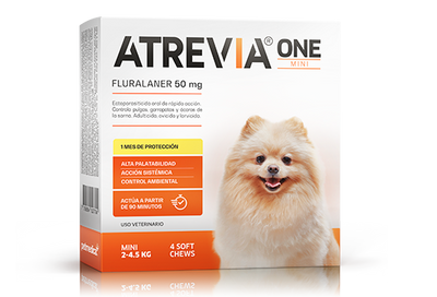 ATREVIA ONE MINI X 1TAB - Black Dog Panamá 