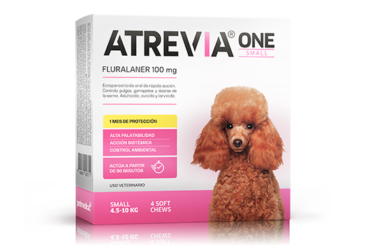 ATREVIA ONE SMALL X 1TAB - Black Dog Panamá 