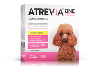 ATREVIA ONE SMALL X 1TAB - Black Dog Panamá 