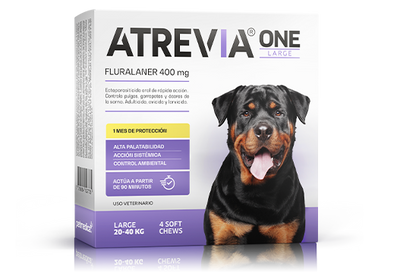 ATREVIA ONE LARGE X 1TAB - Black Dog Panamá 