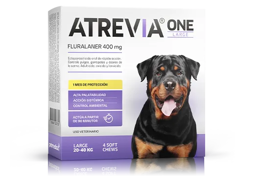 ATREVIA ONE LARGE X 1TAB - Black Dog Panamá 