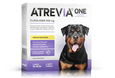 ATREVIA ONE LARGE X 1TAB - Black Dog Panamá 