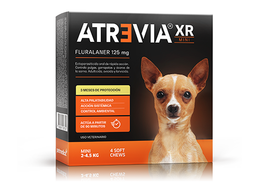 ATREVIA XR MINI X 1TAB - Black Dog Panamá 