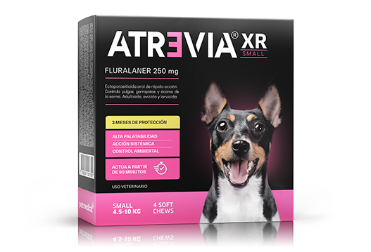 ATREVIA XR SMALL X 1TAB - Black Dog Panamá 