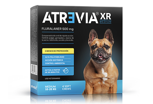 ATREVIA XR MEDIUM X 1TAB - Black Dog Panamá 