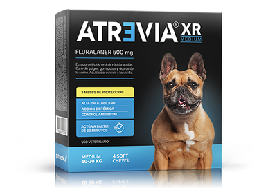 ATREVIA XR MEDIUM X 1TAB - Black Dog Panamá 