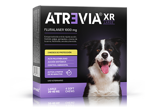 ATREVIA XR LARGE X 1TAB - Black Dog Panamá 