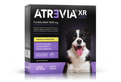 ATREVIA XR LARGE X 1TAB - Black Dog Panamá 