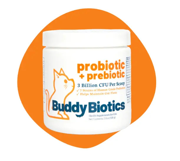 BUDDYBIOTICS / DIGESTIVE ENZYMES CATS