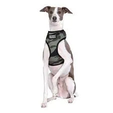 BRUISER soft harness - large - Black Dog Panamá 