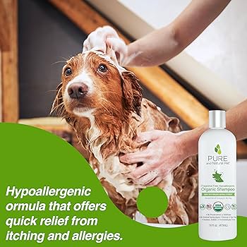 FRAGANCE FREE HYPOALLEGERNIC ORGANIC SHAMPOO PURE - Black Dog Panamá 