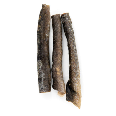 SALMON SKIN FOLD 20-30GR - Black Dog Panamá 