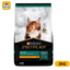 PP KITTEN OPTISTART 3KG - Black Dog Panamá 