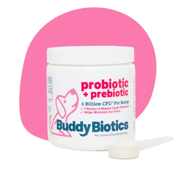 BUDDYBIOTICS / PROBIOTIC - PREBIOTIC CAT 3.8 OZ
