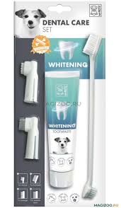 KIT DE CUIDADO DENTAL - PASTA DENTAL BLANQUEADORA + CEPILLO DE DIENTES - Black Dog Panamá 