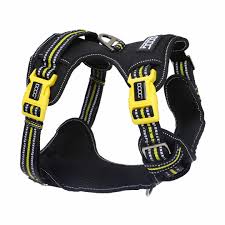 Technical Harness - Bolt- small - Black Dog Panamá 
