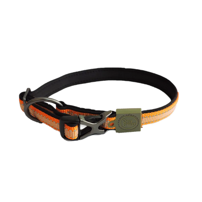 DOG COLLAR - TANGERINE-S - Black Dog Panamá 