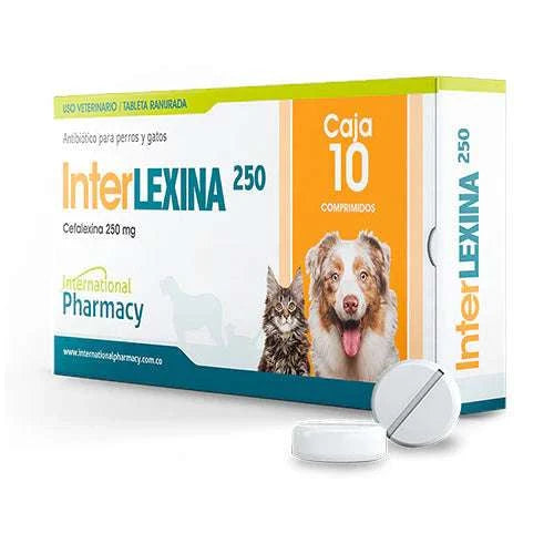 INTERLEXINA 250 - Black Dog Panamá 